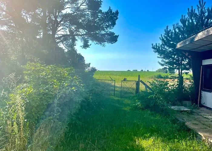 Moderne Doppelhaushaelfte Mit 3 Sz In Der Naehe Vom Scharmuetzelsee-seperat&naturnah Wendisch Rietz